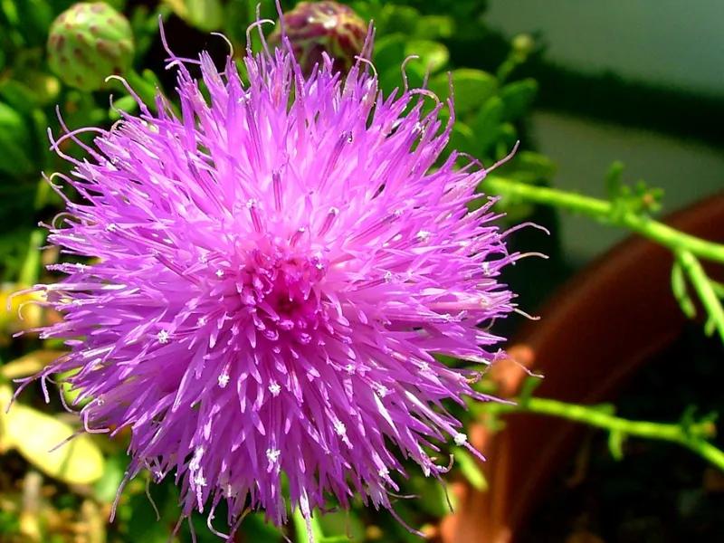 国色天香秀色可餐的美女 (秀色可餐与国色天香)