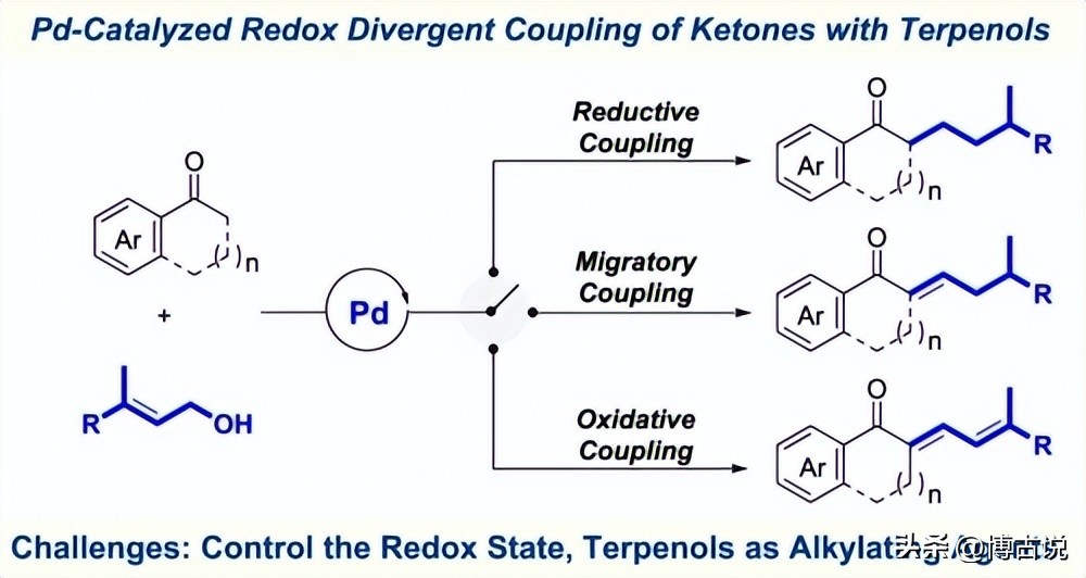 碲离子和氢氧化钠反应,碲离子