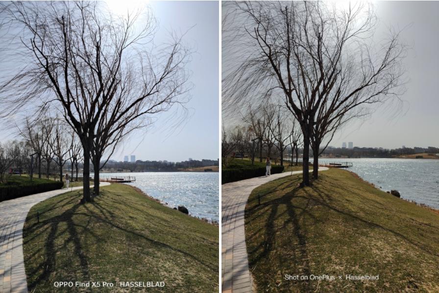 findx5pro白的好看还是黑的好看,findx5pro有哪些优缺点