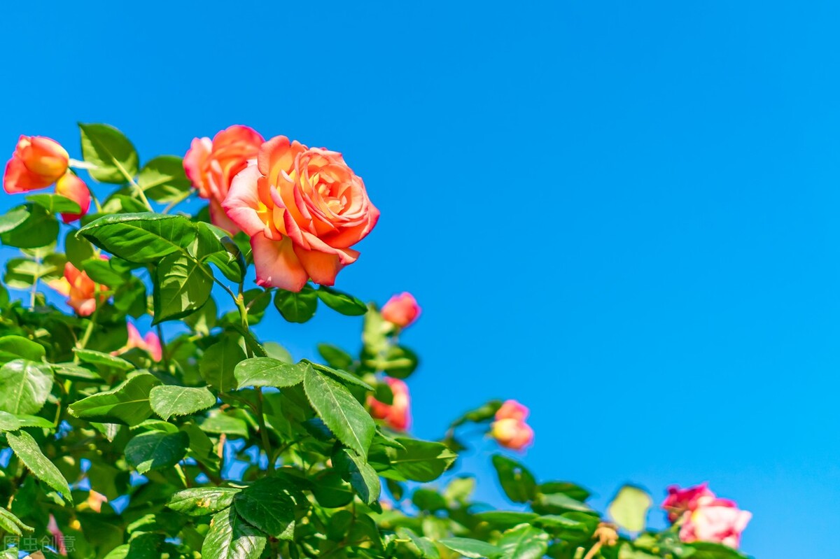 让自己开心的100种方法视频,六种让自己瞬间开心的方法