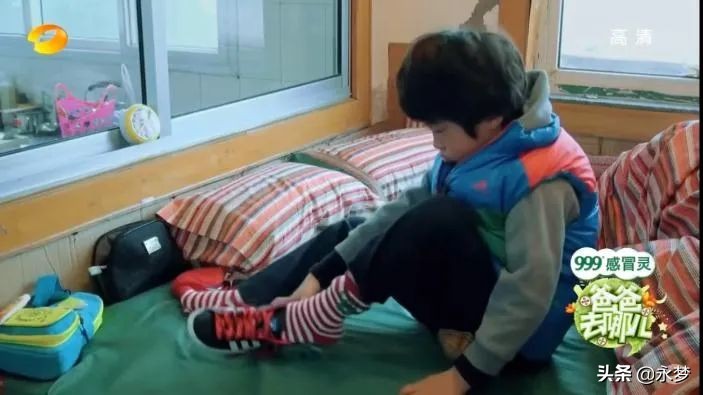 13岁，顶级Alpha，阿姨们都在等他出道