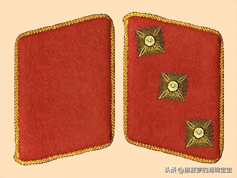 纳粹冲锋队用的什么枪,纳粹德军军衔图解