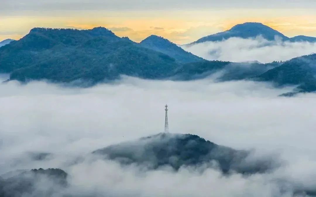 悬念揭晓在即,悬念揭晓视频