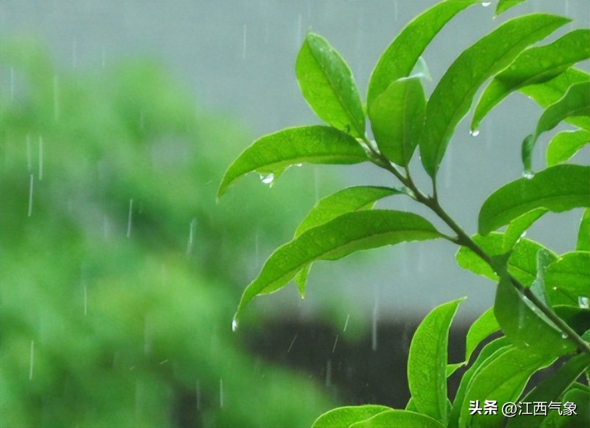 江西新一轮强冷空气来袭,江西又有冷空气