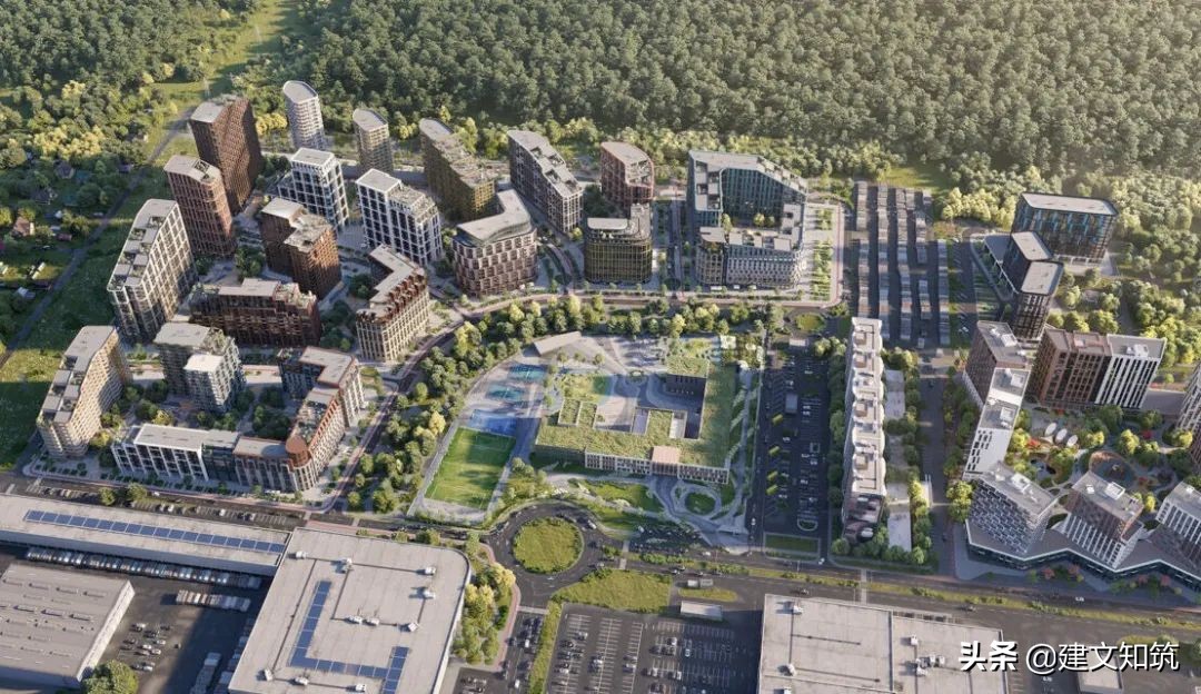 waf2023世锦赛,waf国内排名