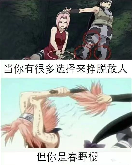 李银河性学专家讲课,李银河为什么叫性学专家