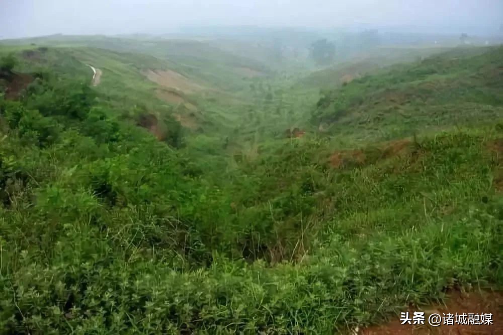 山东诸城历史遗址,龙溪村是哪个省的