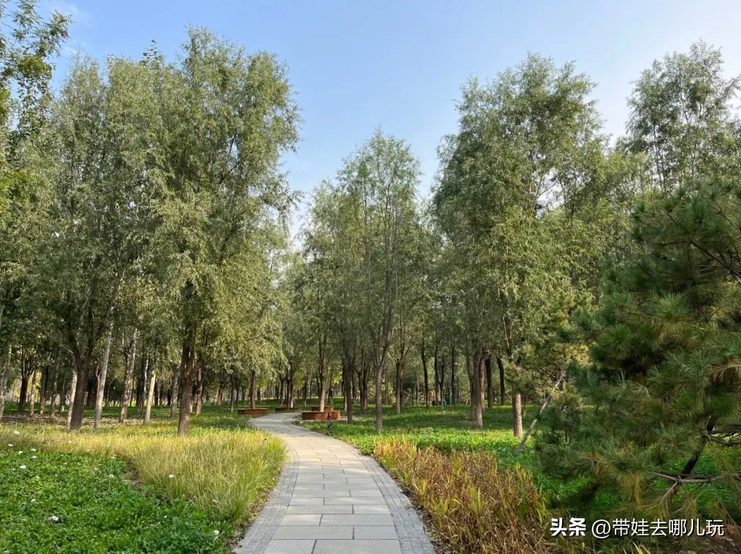 藏在二环的超小众免费公园,免费游玩的小公园