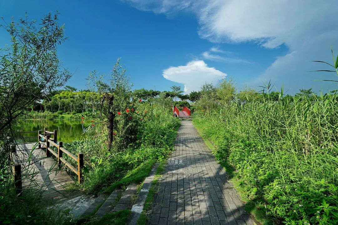 广州鹤之洲湿地公园游玩攻略简介,增城凤凰古城一日游最佳去处