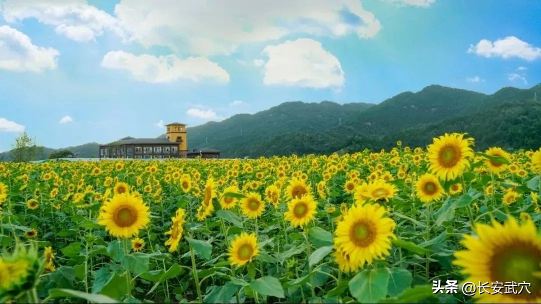 住宿优惠券领取,免费住宿券