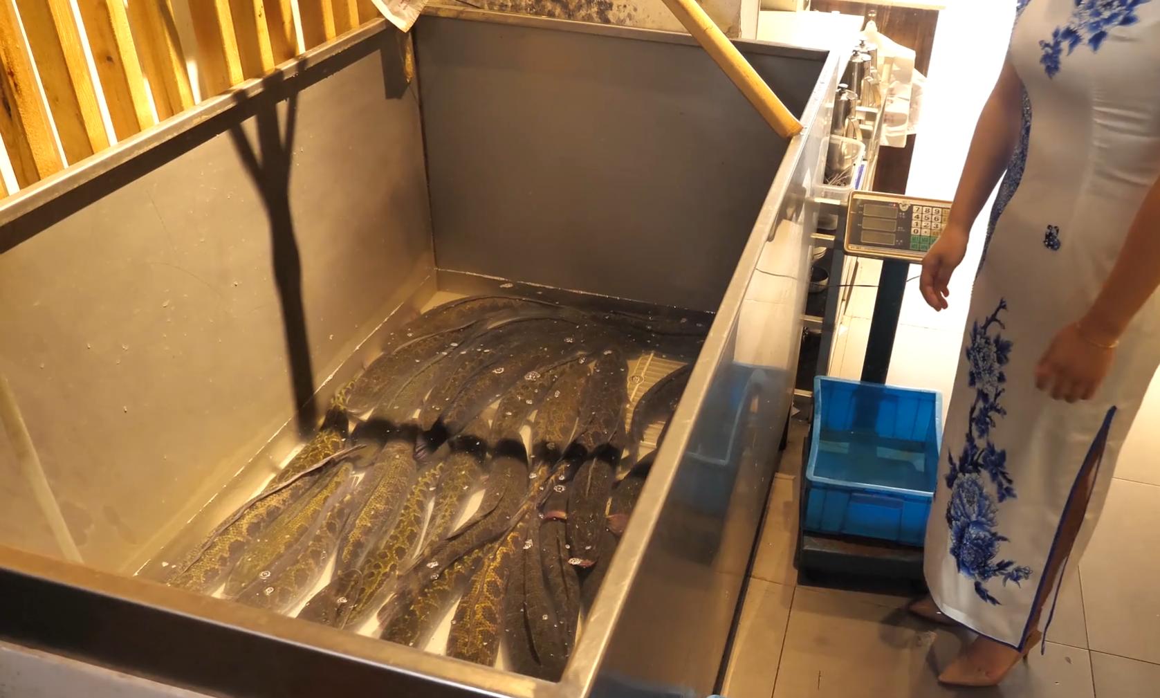 昆山餐饮美女老板娘,酸菜鱼美女老板娘