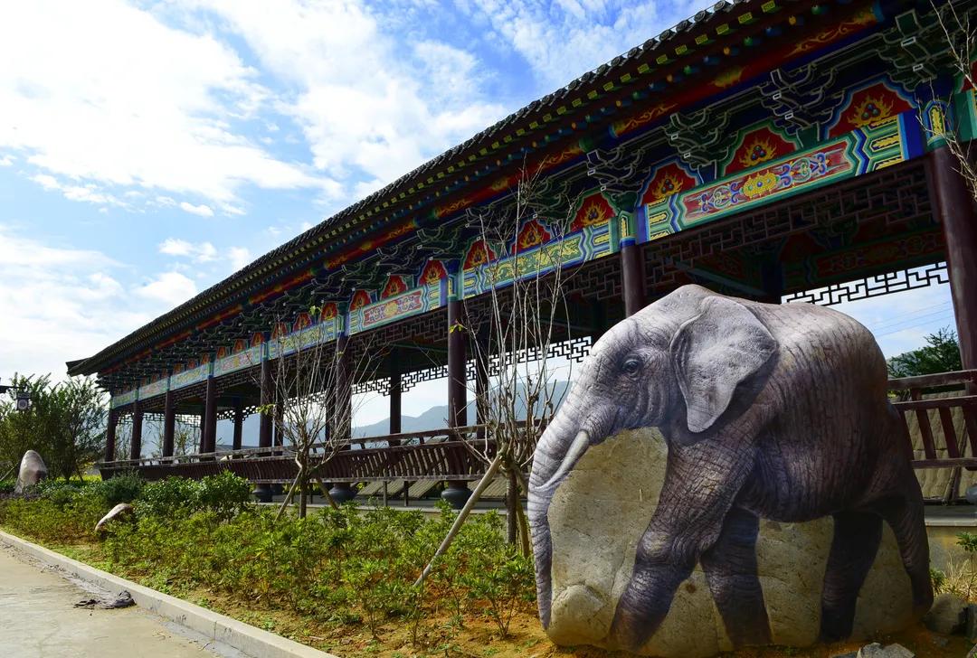 春节出游必看！温州这12条特色线路诚意满满，带你玩转虎年春节！