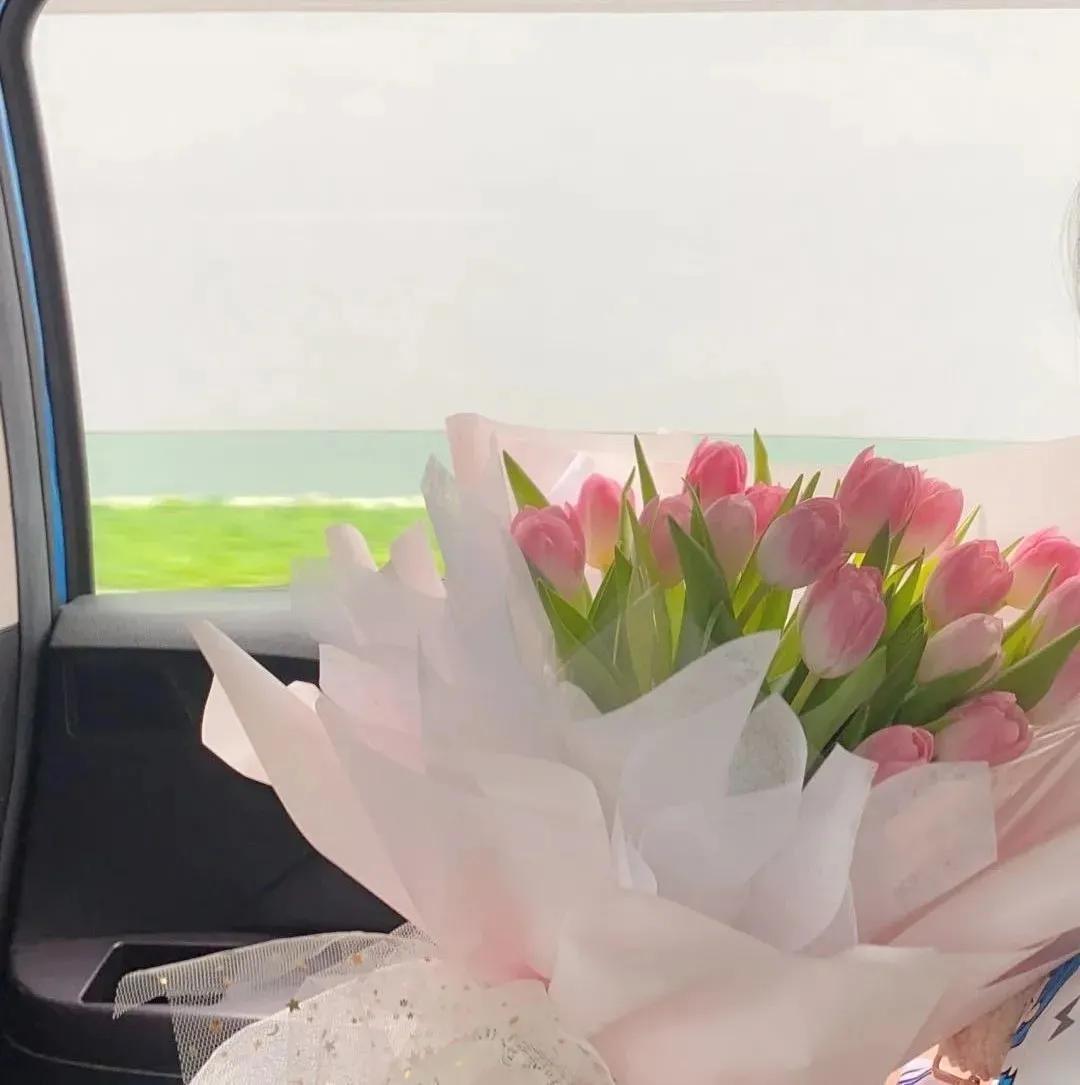 背景图优雅生活,生活随意的背景图高级感