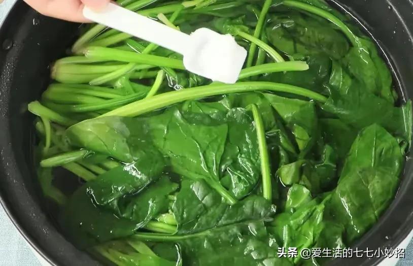 爱吃菠菜的好处,吃菠菜不能和什么同吃