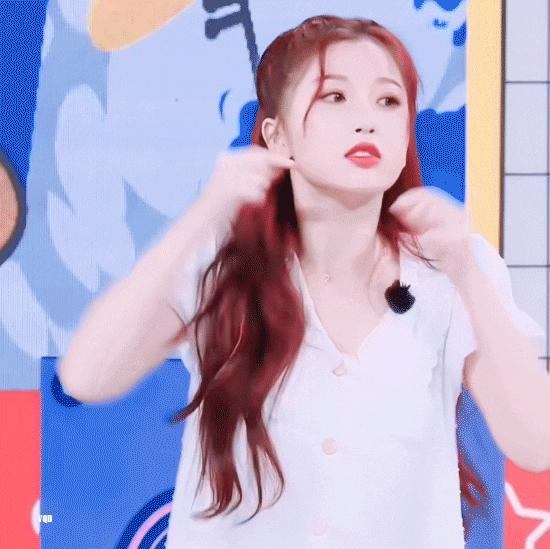 四系95花，各有各的美！