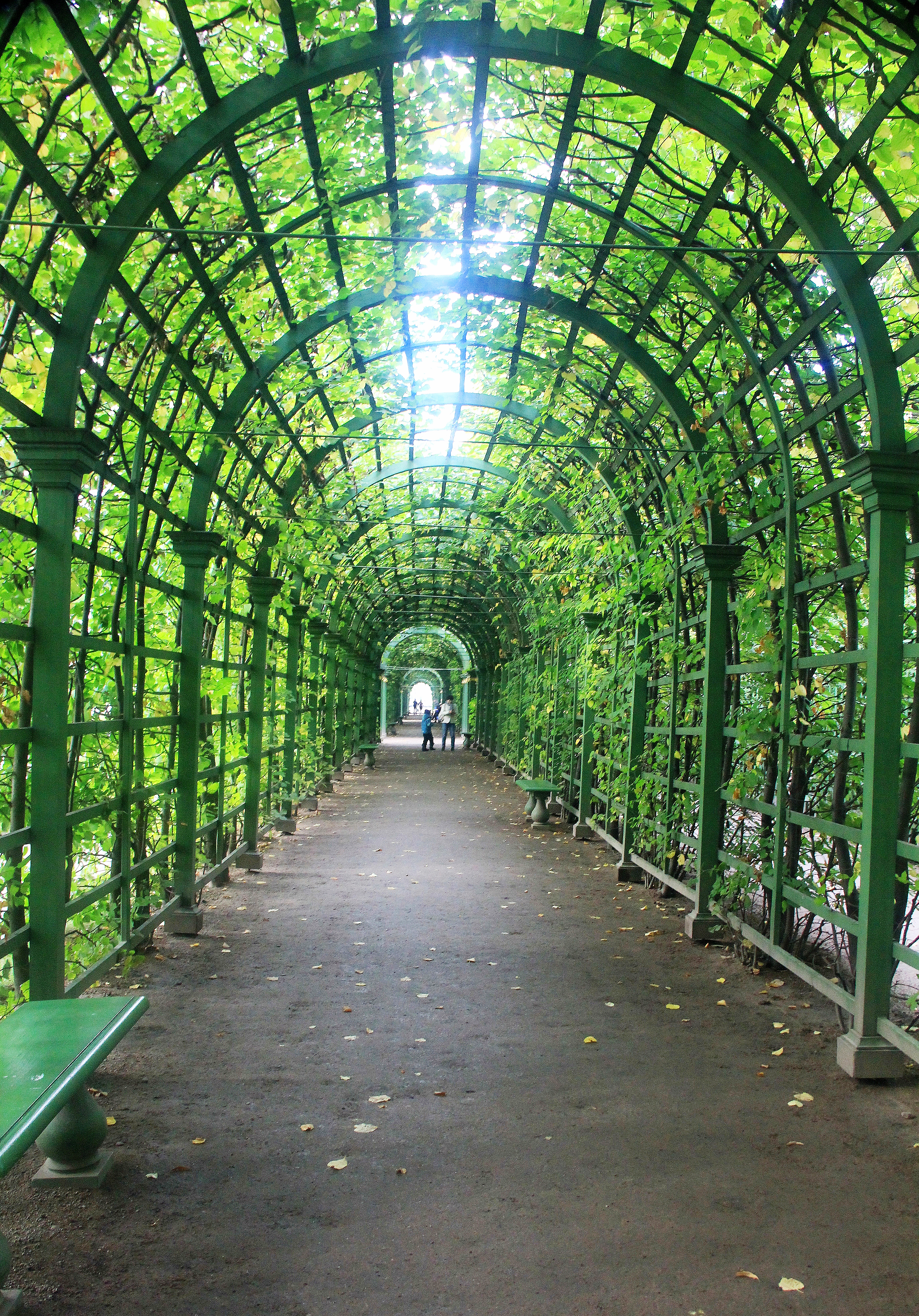 “走进俄罗斯”之九—俄罗斯杂记