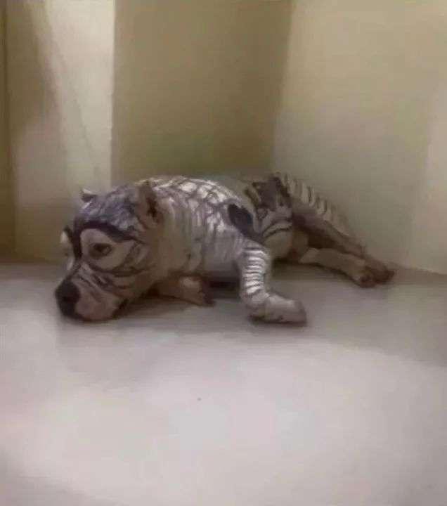 男朋友不小心将聊天记录投屏,和男朋友对话被投屏