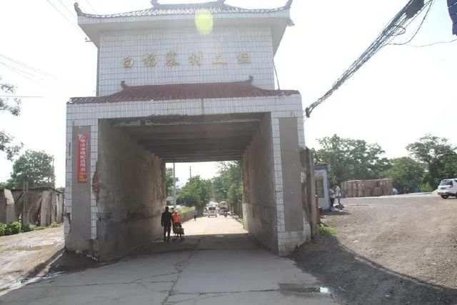 三和三棵树作家陈辉