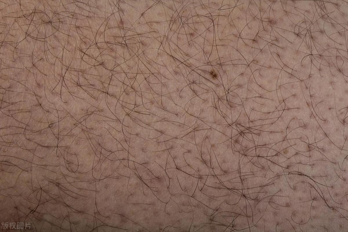 *处私**体毛在夫妻生活中有什么作用？为什么是弯的？刮掉有啥后果？