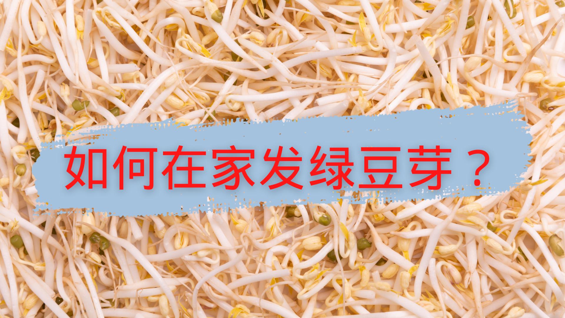 怎样发绿豆芽最快最好,怎样发绿豆芽最快最好吃