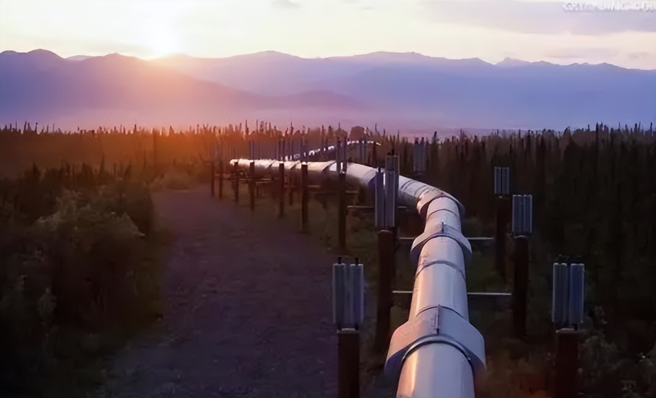 崔守军基金会,崔守军全球能源