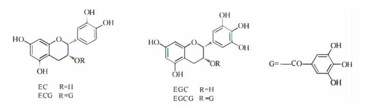 鞣质草药,黄芪的主要成分为鞣质和挥发油