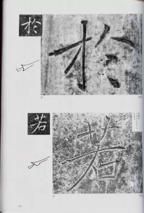 宸ョ瑪鐢绘潹鏅箟鐢诲唽,鏉滈箖鏉ㄦ櫘涔夊畬鏁寸増