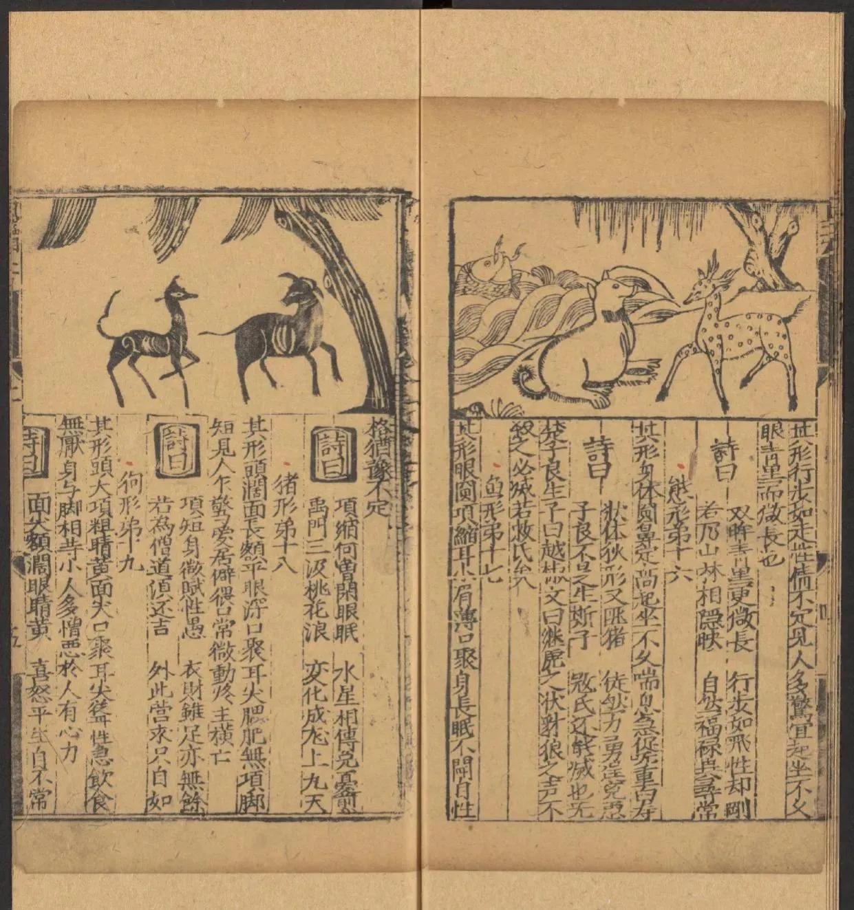 鎰熺煡鍘嗗彶鍝佸懗鏂囧寲缁忓吀,楹荤鐩告湳