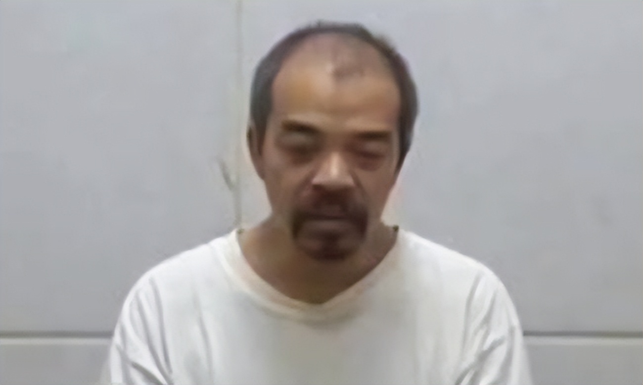 张向斌间谍案媒体采访,张向斌间谍案是哪部电影