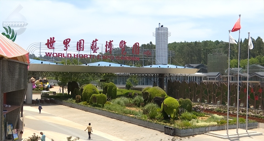 植被覆盖率中国,昆明植被覆盖率有多少