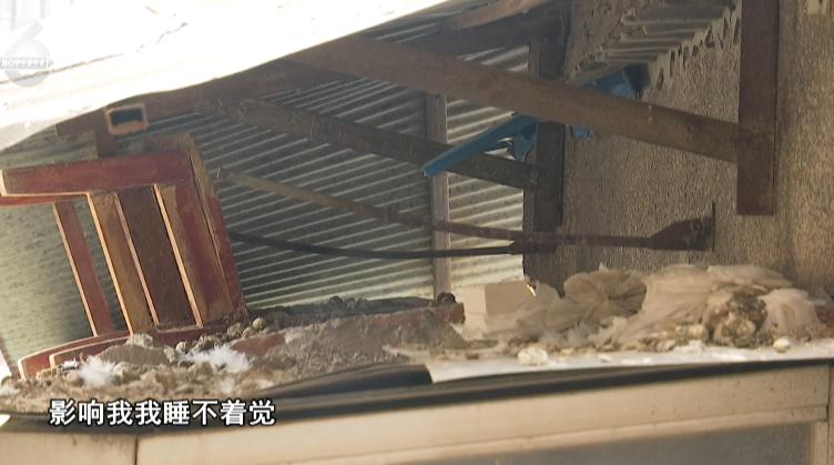 大妈被冤枉常常“高空抛物”，罪魁祸首居然要靠气球收拾？