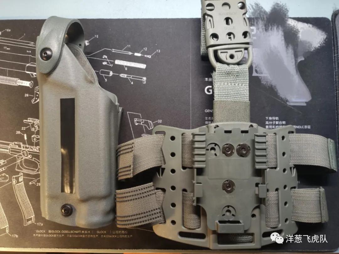 虎年说虎科普视频,虎年说虎运用了哪些说明方法