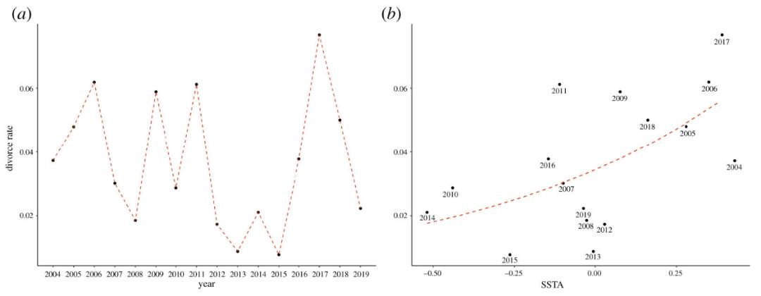 当猫头鹰飞入校园之后的样子,当猫头鹰在人家门口转头被吓到