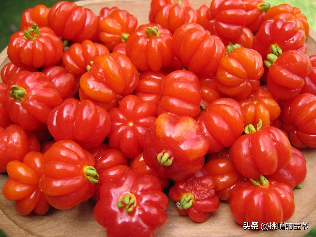 非洲岛国佛得角，10%的食物靠进口，5种特产水果，一定要试试