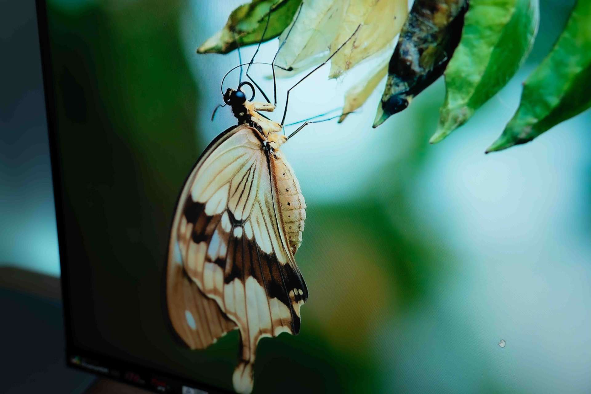 优派显示器vx27812k240Hz,优派vx2781显示器画面设置