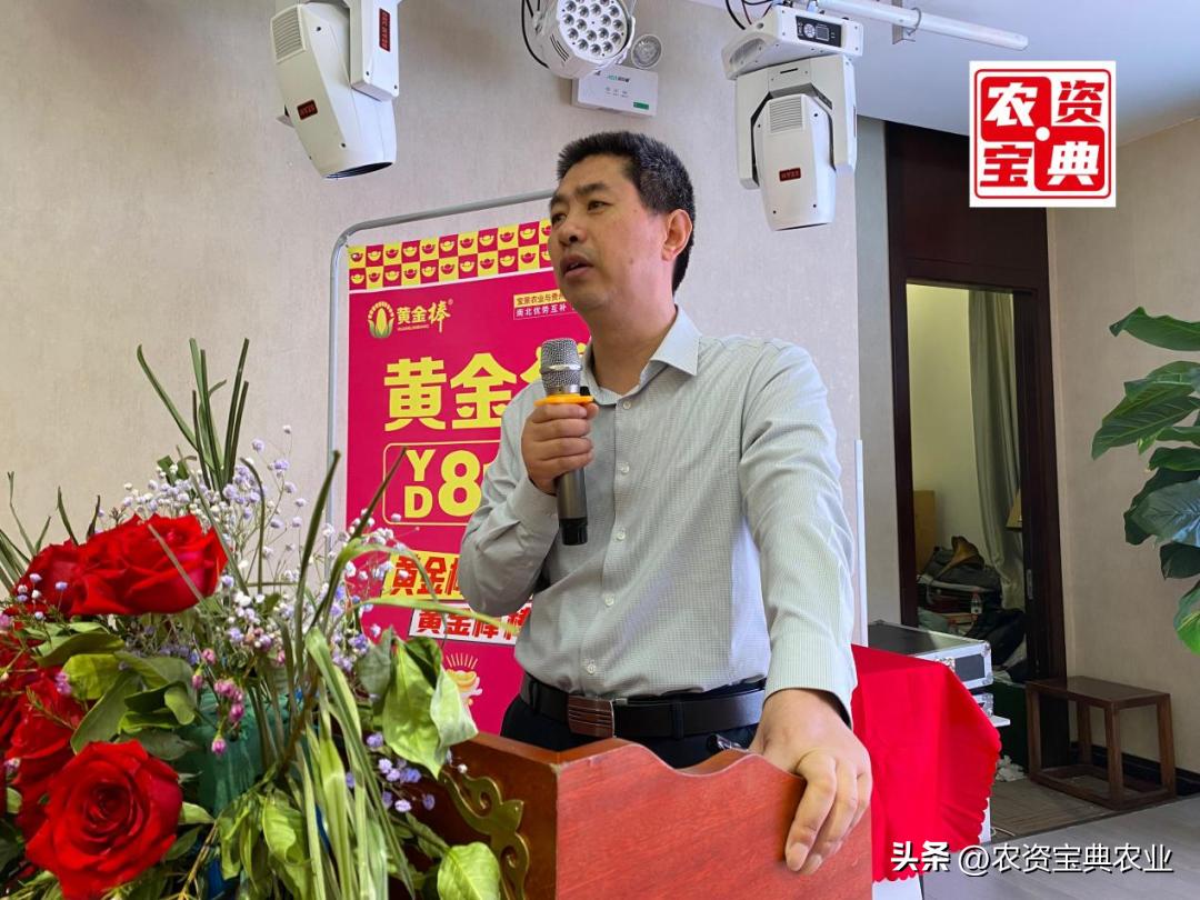 黄金棒yd819产量,黄金棒819玉米种介绍