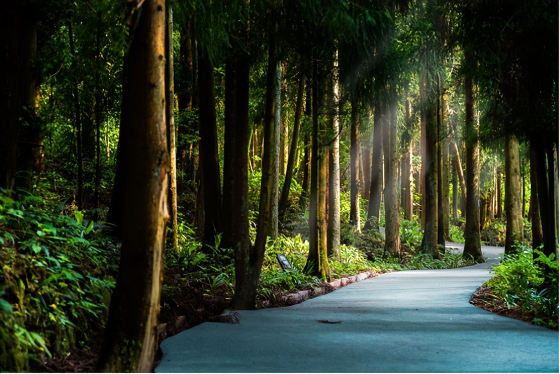 微度假盛行,微度假爆发视频