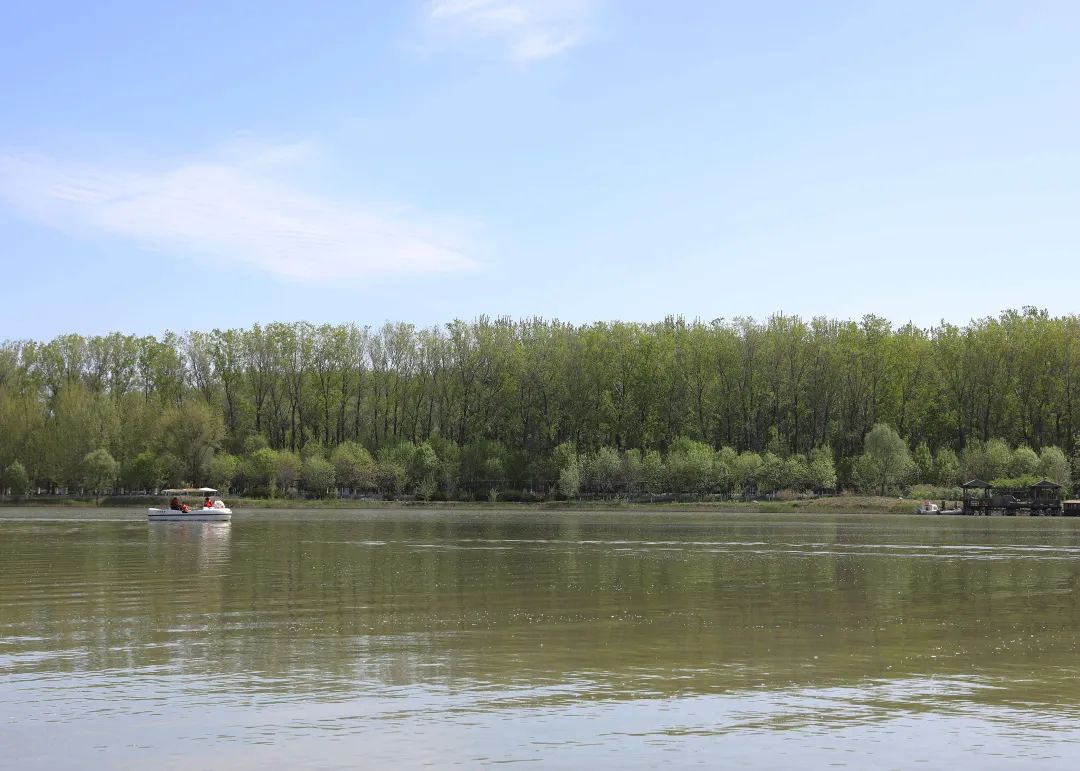 汉石桥湿地公园3月赏花,湖溪踏青好去处