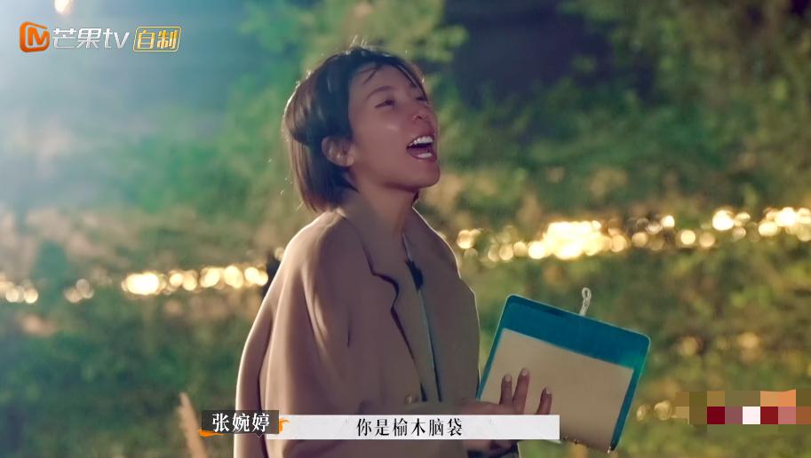 张婉婷宋宁峰最终结果,宋宁峰张婉婷细节分析