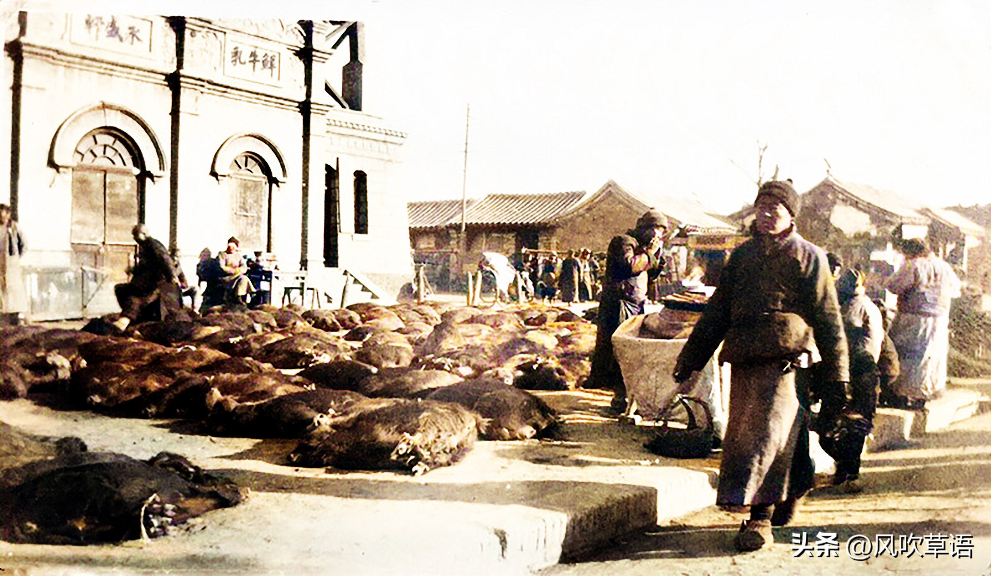 1928年的北京街头，黑猪过处黄尘四起，茶馆门前“葛大爷”现身
