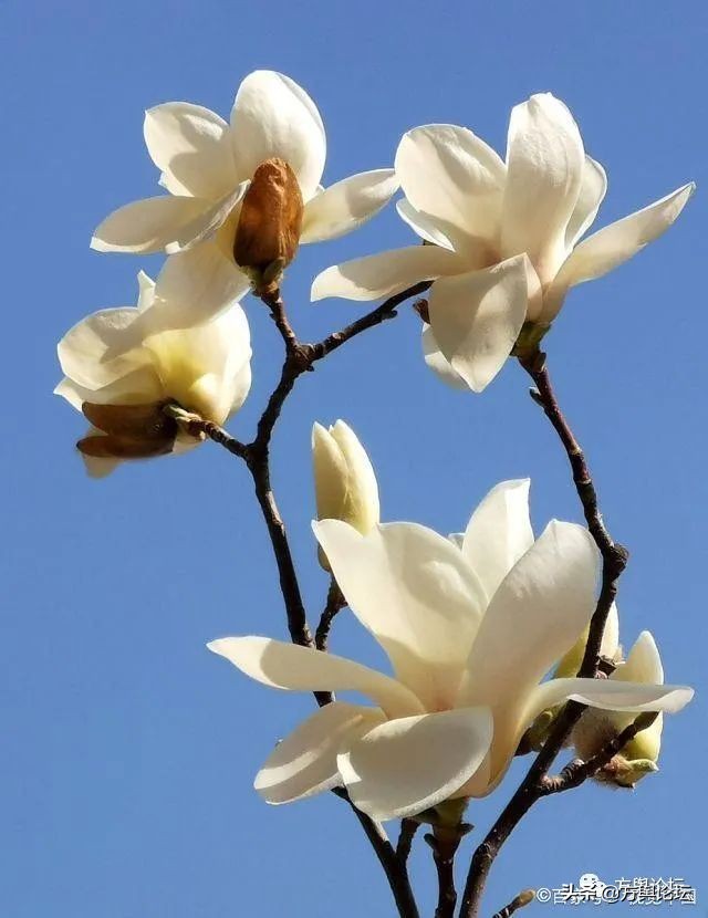 宸＄ぜ2019,宸＄ぜ2018