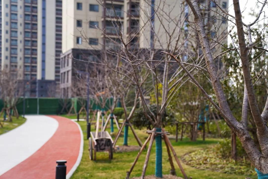 打了个样,南通现象级红盘