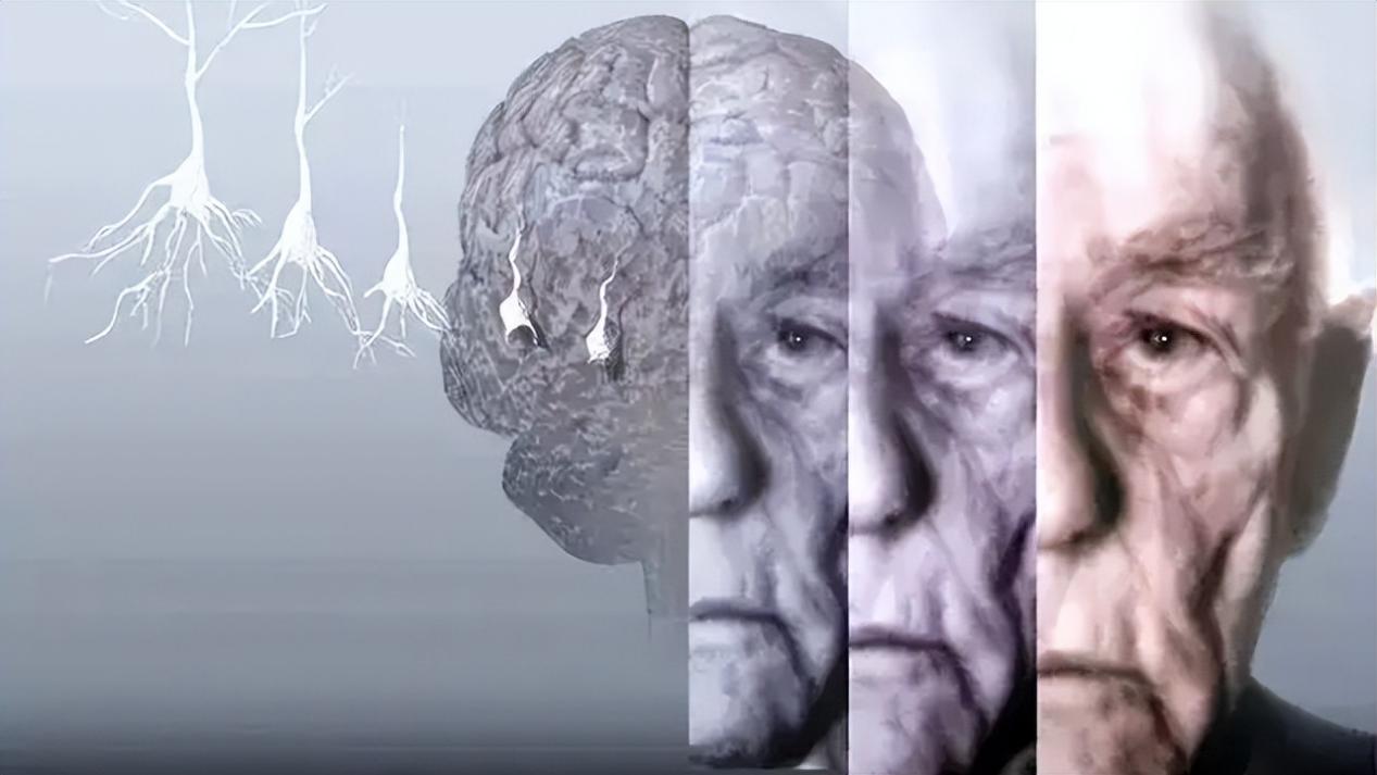 *013院医**教授：少吃点肉吧！太多人因它而受罪，是时候醒悟了