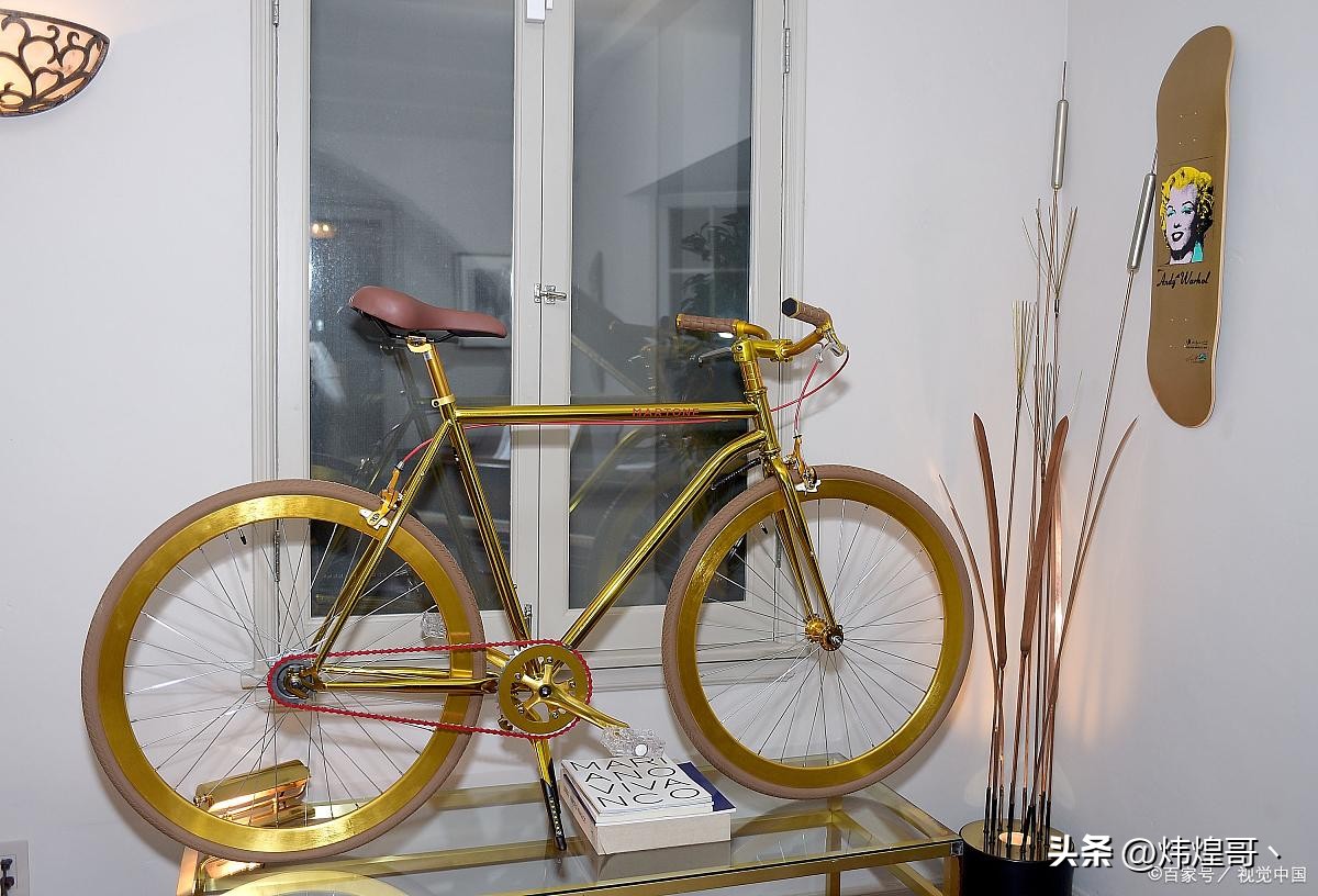 全球10大品牌自行车,全球顶级十大自行车品牌