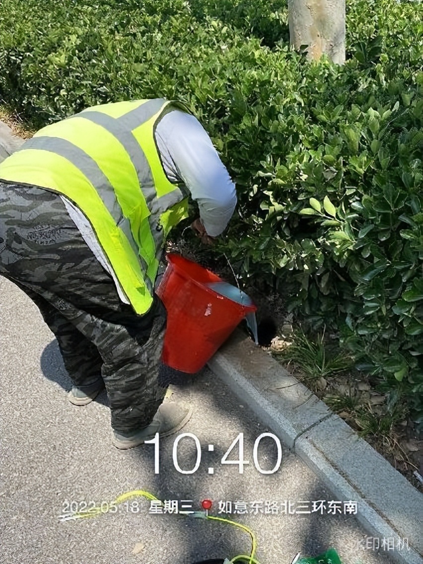 12月份园林绿化养护工作重点,元月份园林养护重点工作