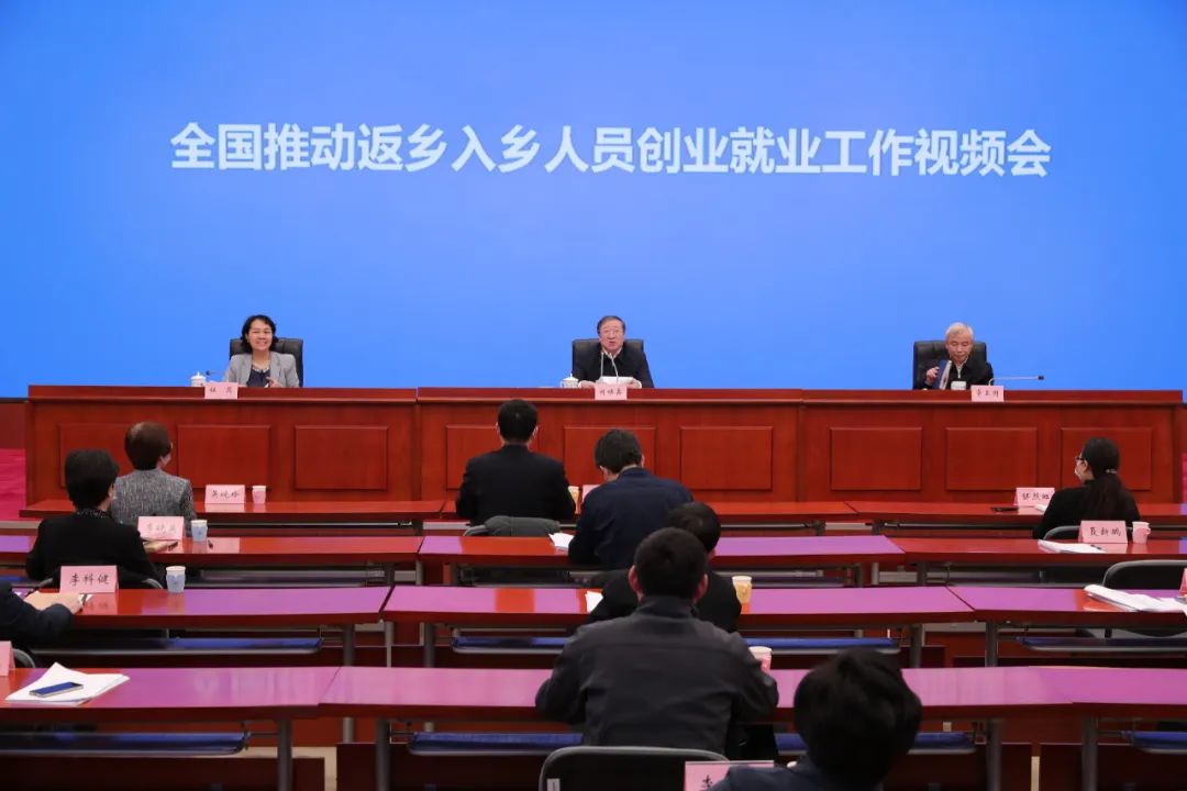 返乡创业都有哪些项目,年轻人返乡创业项目有哪些