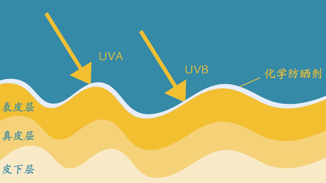 防晒干货分享：我们试了5款热门防晒，想找合适的就按这个标准选