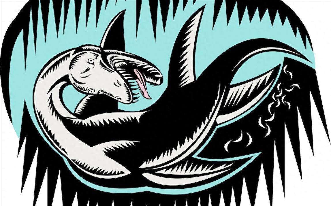 深海狩猎者的宝藏在哪,深海狩猎奥奇传说