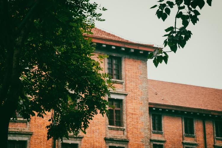 好专业和好学校哪个更重要,专业重要还是学校重要