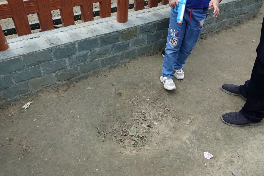 泰州动物园在哪里,泰州动物园在哪